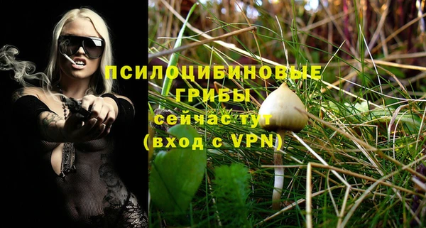 мдма Елизово