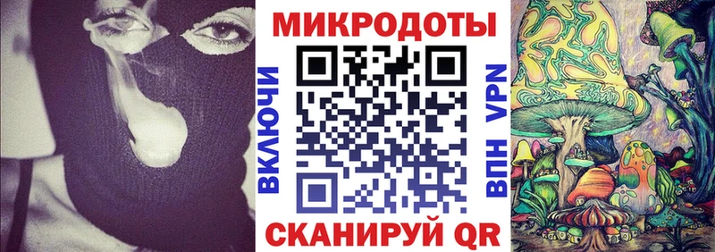 Галлюциногенные грибы Psilocybe  Купить закладки  Великий Новгород 