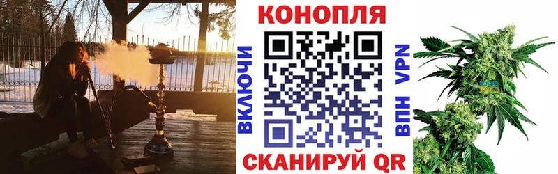 Купить  Великий Новгород  Каннабис гибрид 